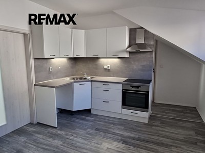 Pronájem bytu 1+1 46 m² (Jednopodlažní)