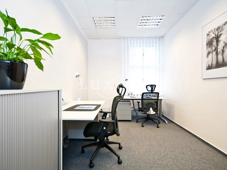 Gewerbefläche zur Miete, 666 m² (2 von 5)