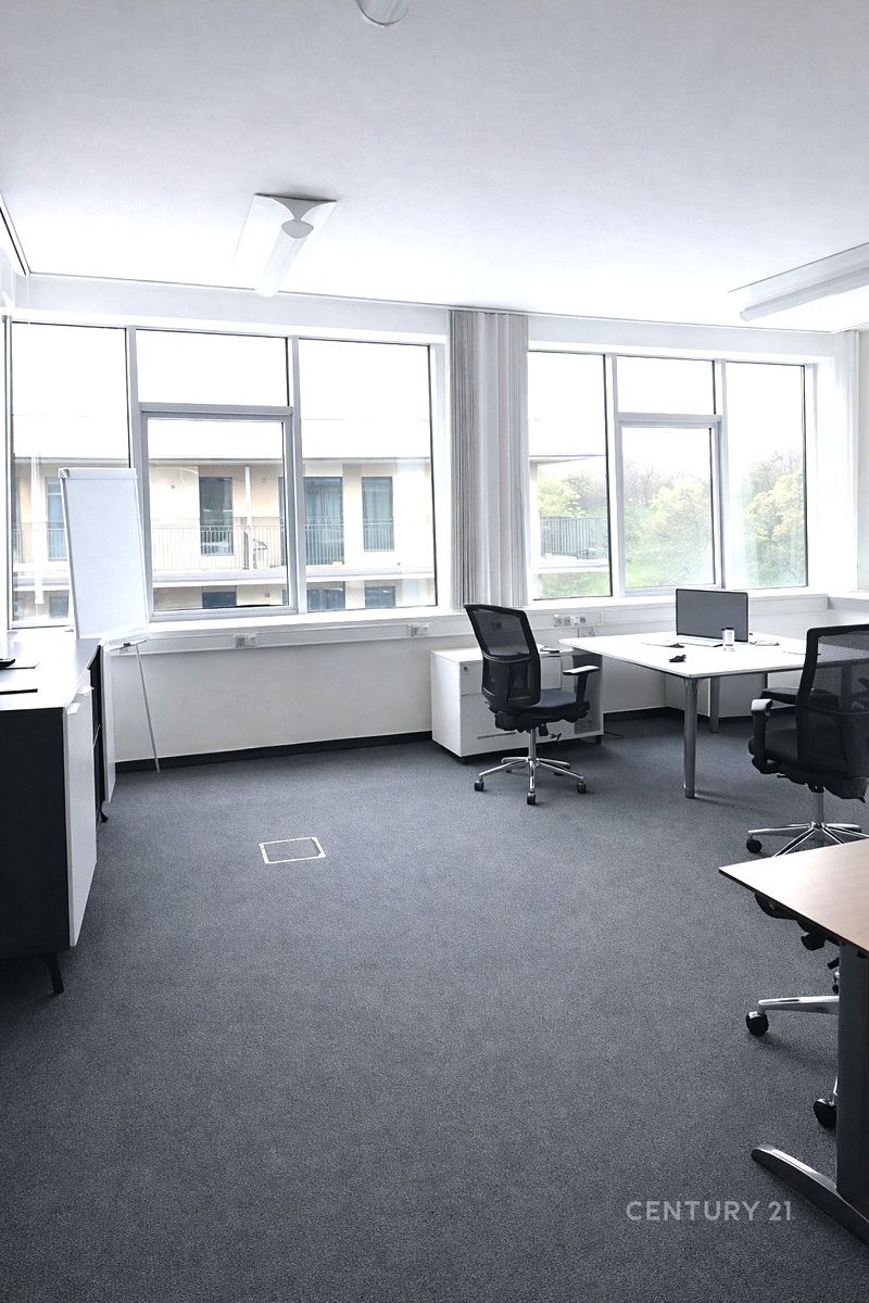 Pronájem kanceláře 175 m²