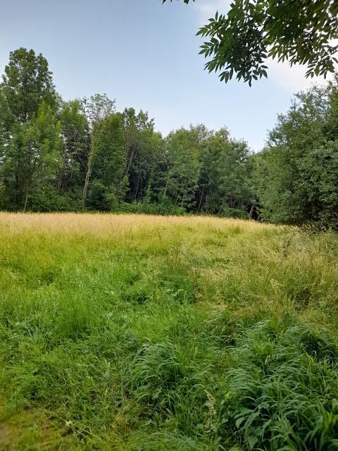 Pronájem pole 510 m² – fotografie 4