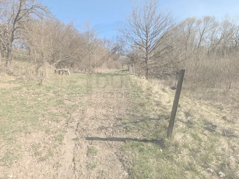 Prodej stavebního pozemku 1747 m², Počaply – náhled fotky 3