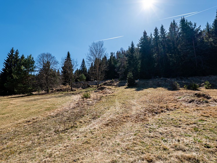 Grundstück zum Kauf, 10.137 m² (19 von 32)