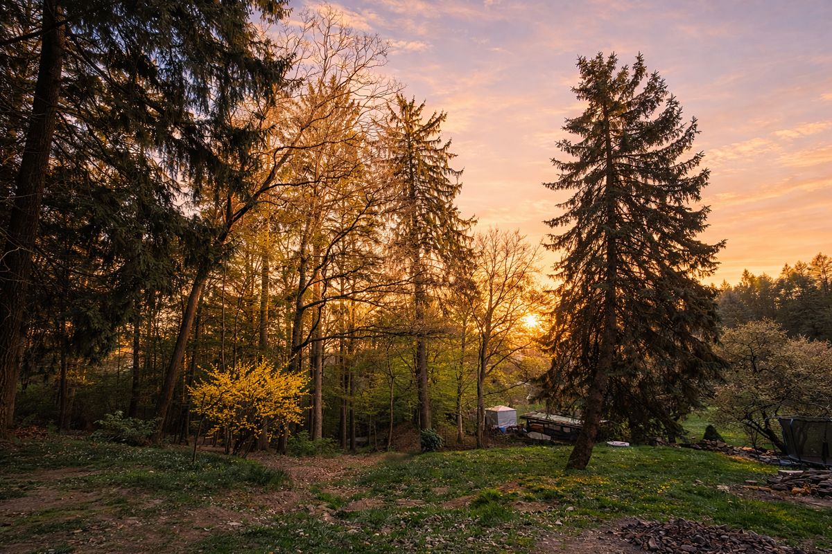Prodej stavebního pozemku 5157 m² – fotografie 3