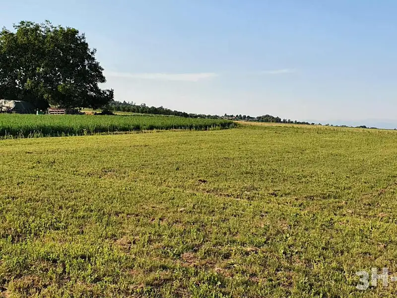 Prodej stavebního pozemku 2018 m², Drahanovice – náhled fotky 2