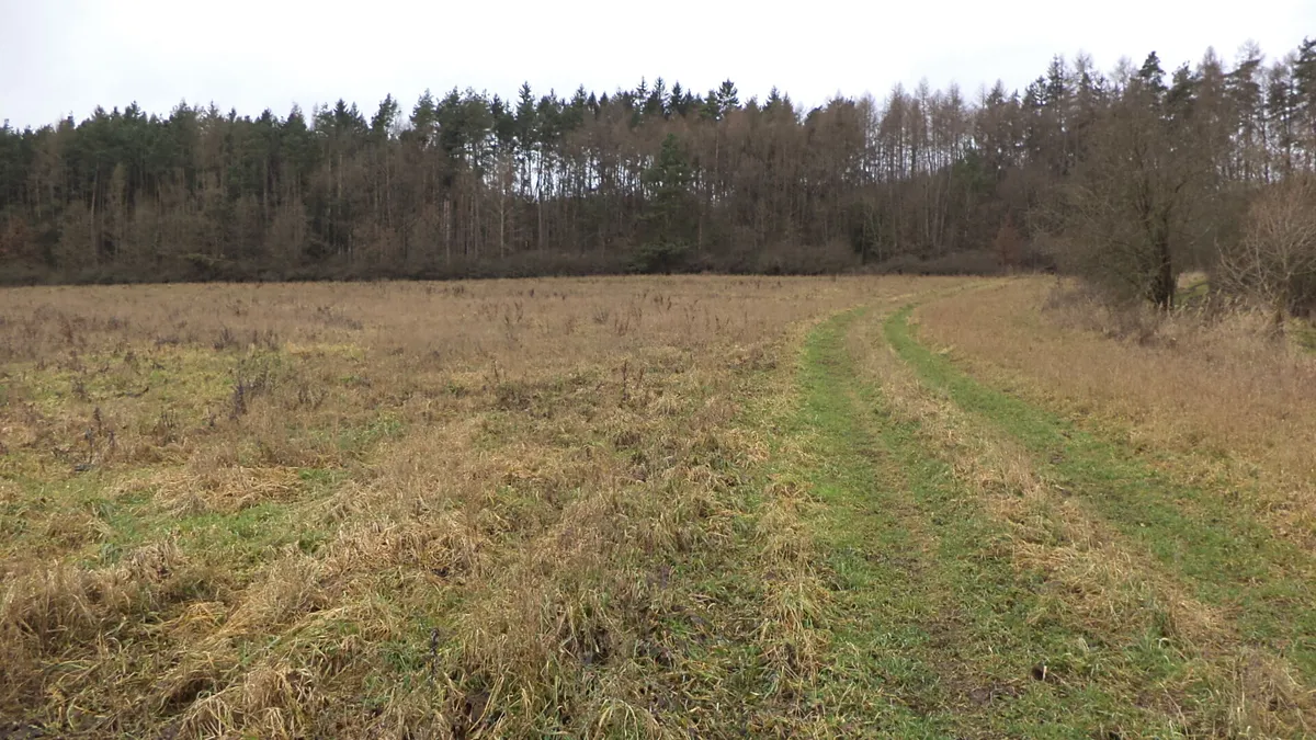 Prodej pole 7890 m²