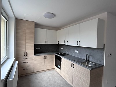 Pronájem bytu 3+kk 64 m² (Jednopodlažní)