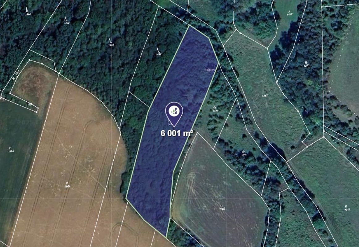 Prodej lesa 6001 m², Vysoká – fotka 1 z 3