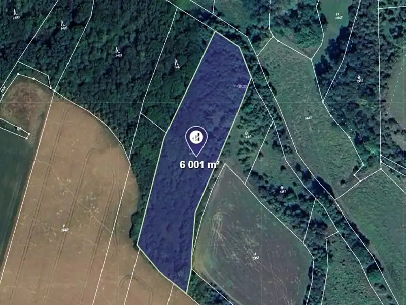 Prodej lesa 6001 m², Vysoká – náhled fotky 1