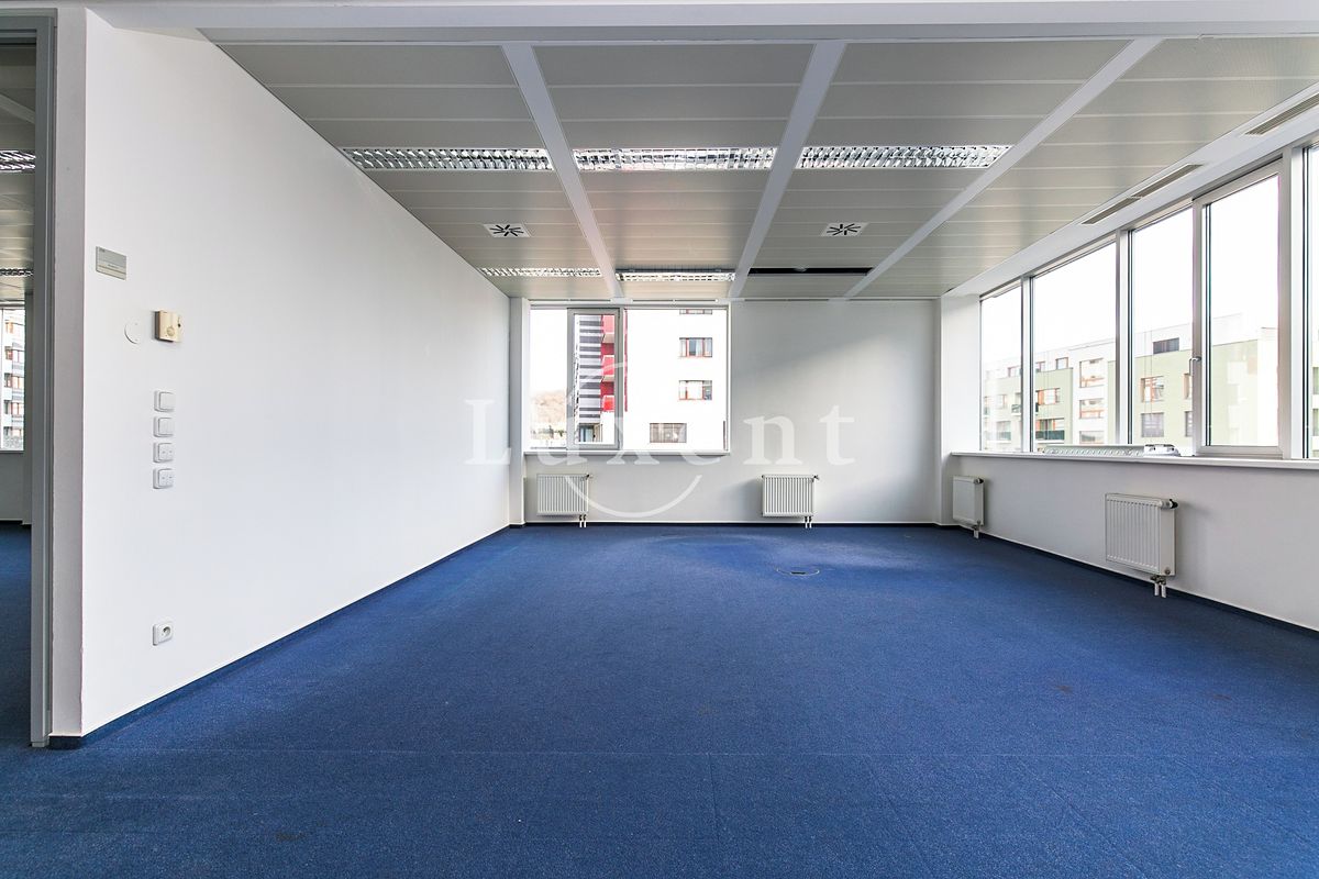 Pronájem kanceláře 393 m²