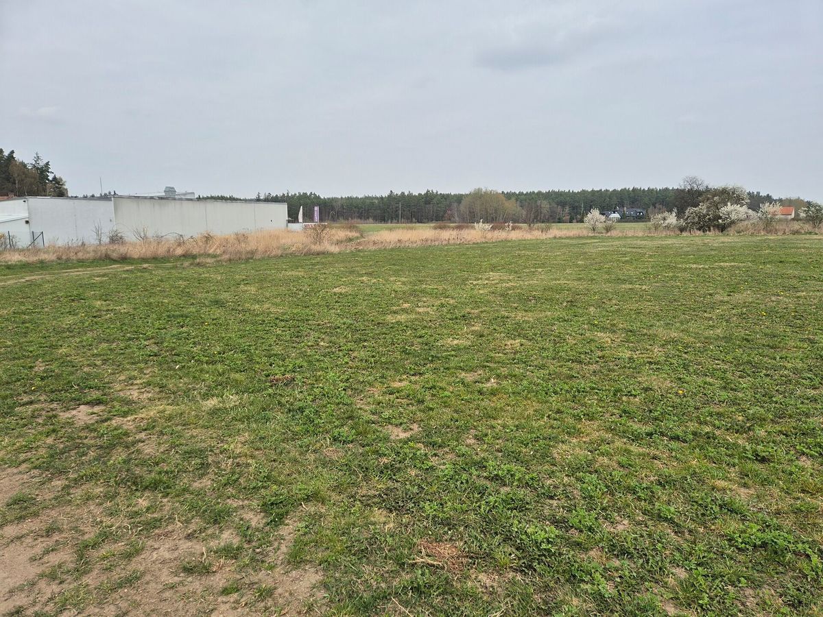 Prodej komerčního pozemku 2917 m² – fotografie 4