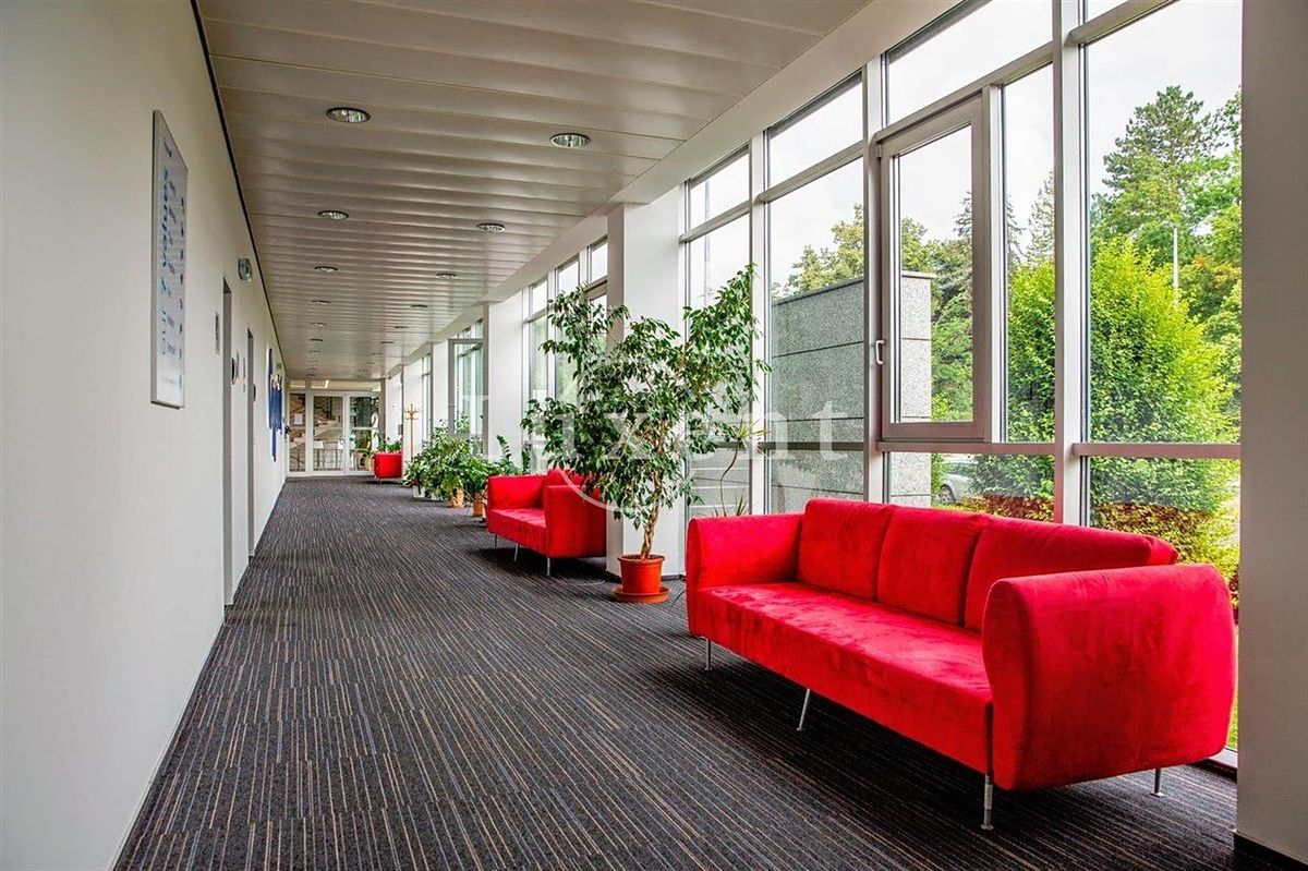 Pronájem kanceláře 236 m² – fotografie 3
