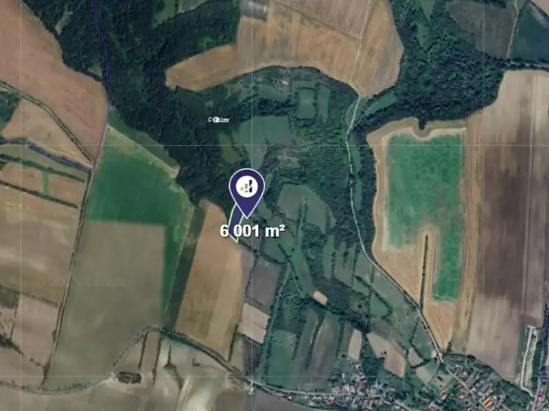 Prodej lesa 6001 m², Vysoká – náhled fotky 2