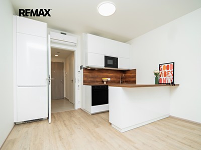 Pronájem bytu 1+kk 30 m² (Jednopodlažní)