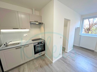 Pronájem bytu 1+kk 25 m²