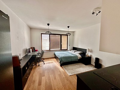 Pronájem bytu 1+kk 28 m² (Jednopodlažní)