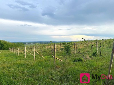 Prodej pozemku, 7 500 m² (3 z 4)