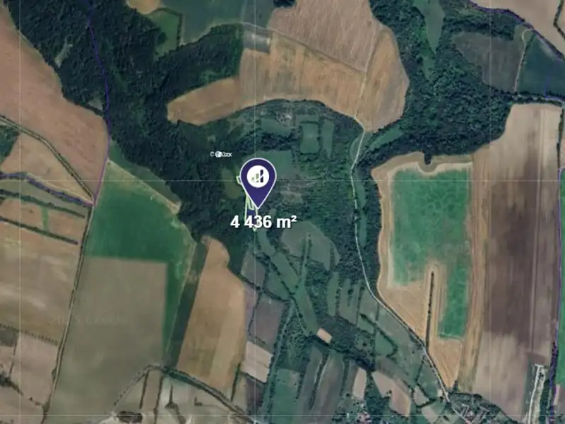 Prodej lesa 4436 m², Vysoká – náhled fotky 2