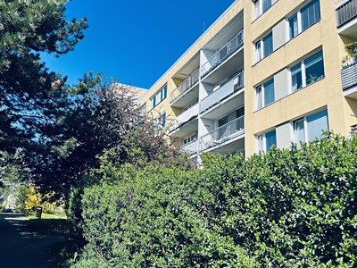 Pronájem bytu 3+1 84 m² (Jednopodlažní)