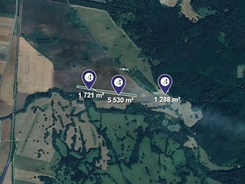 Prodej pole 8539 m², Javorník – náhled fotky 3