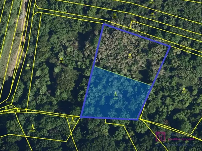 Prodej lesa 4858 m², Klobouky u Brna – náhled fotky 3