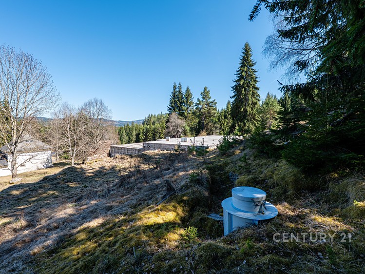 Grundstück zum Kauf, 10.137 m² (6 von 32)