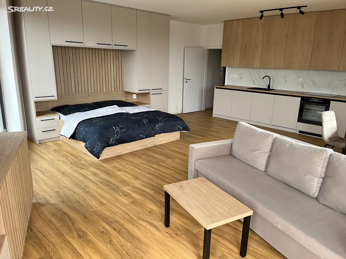 Pronájem bytu 1+kk 92 m²