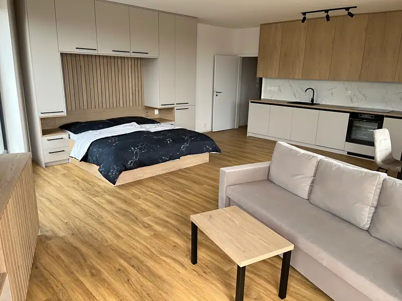Pronájem bytu 1+kk 92 m², Opava – náhled fotky 1