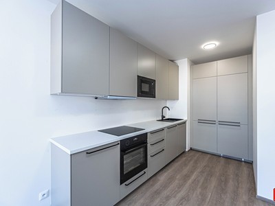 Pronájem bytu 2+kk 53 m² (Jednopodlažní)