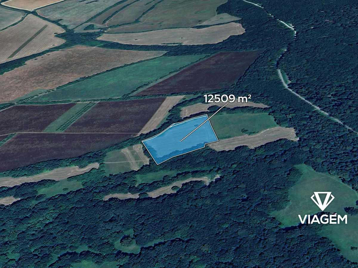 Prodej podílu 1/6 pole 2084 m²