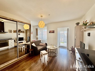 Pronájem bytu 1+kk 26 m²