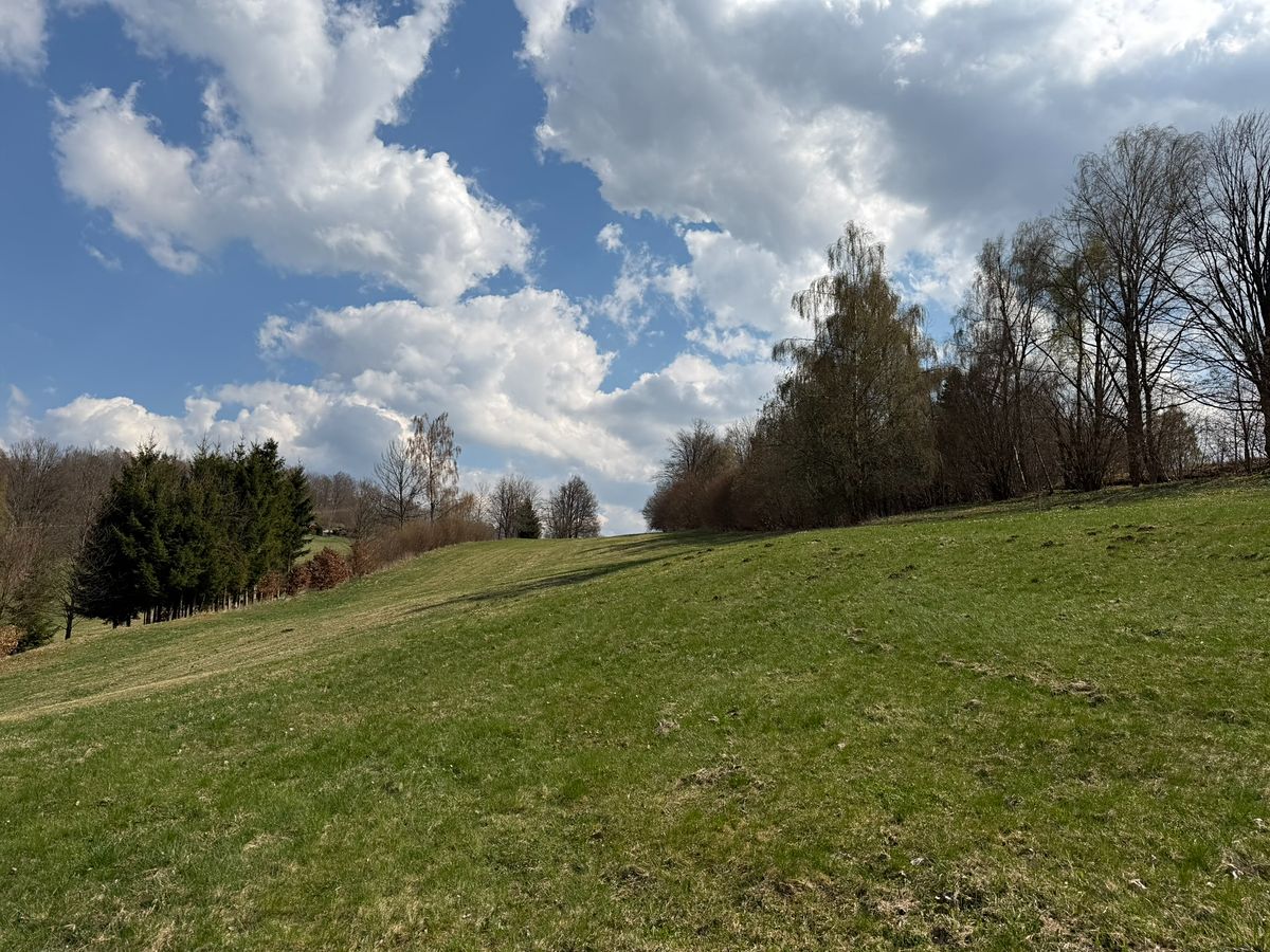 Prodej stavebního pozemku 6498 m² – fotografie 2