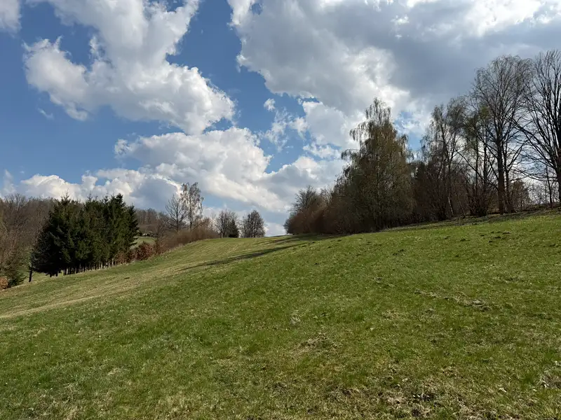 Prodej stavebního pozemku 6498 m², Záblatí – náhled fotky 2