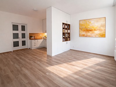 Pronájem bytu 1+kk 45 m²