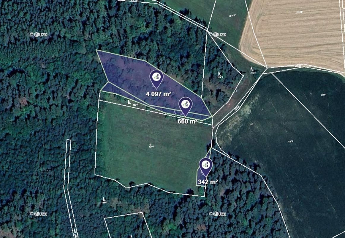 Prodej lesa 5099 m²