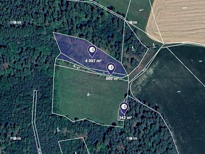 Prodej lesa 5099 m²
