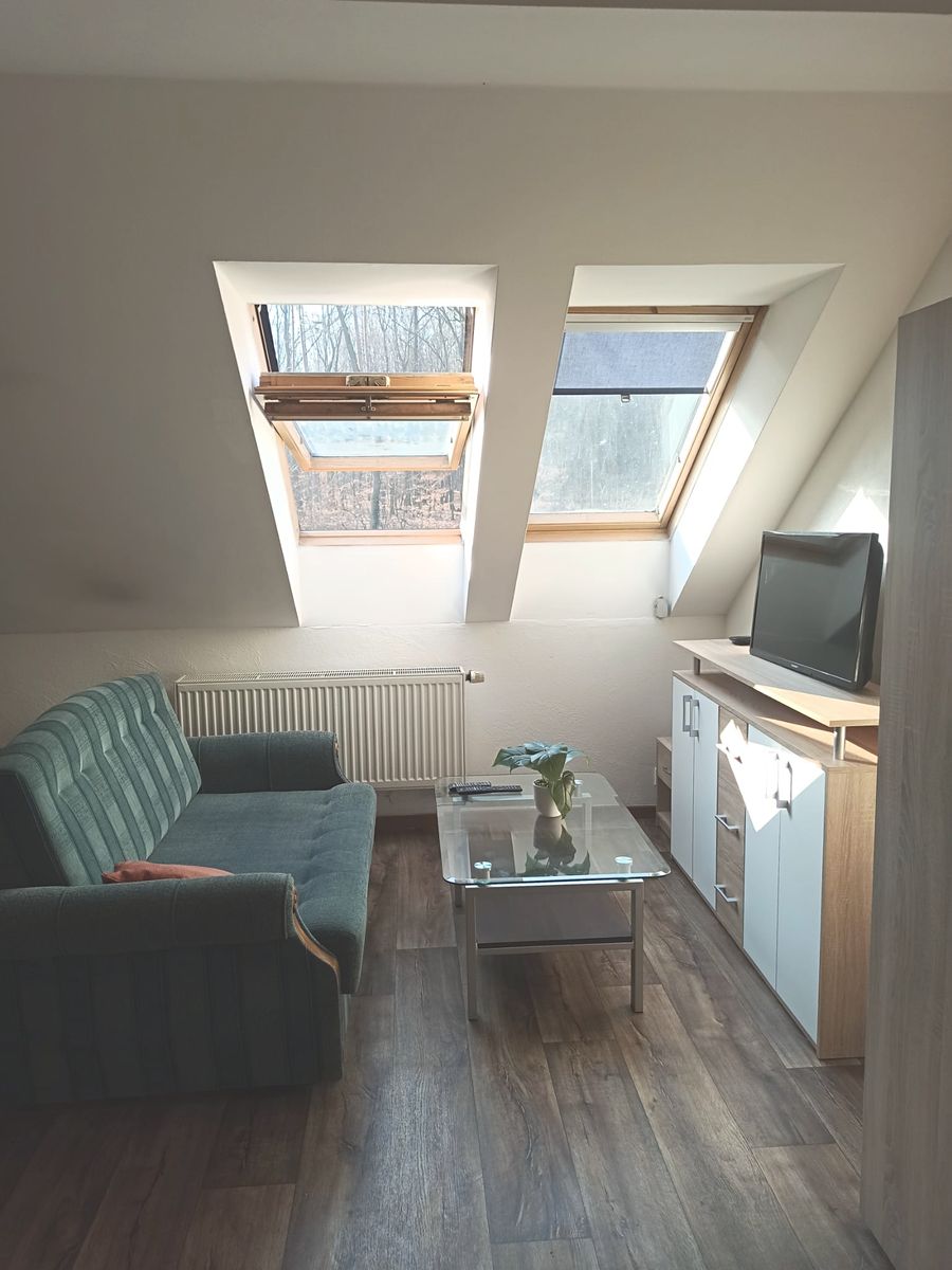 Pronájem  pokoje 29 m²