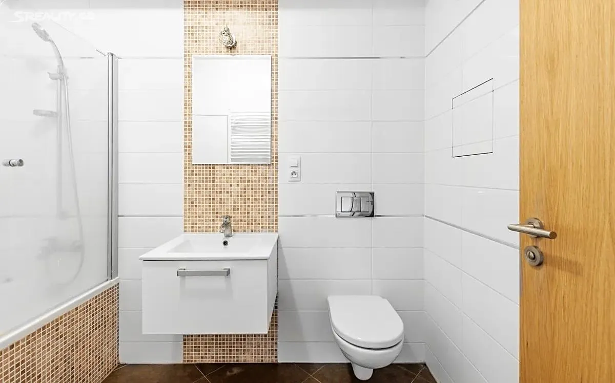 Pronájem bytu 1+kk 41 m² – pohled 4