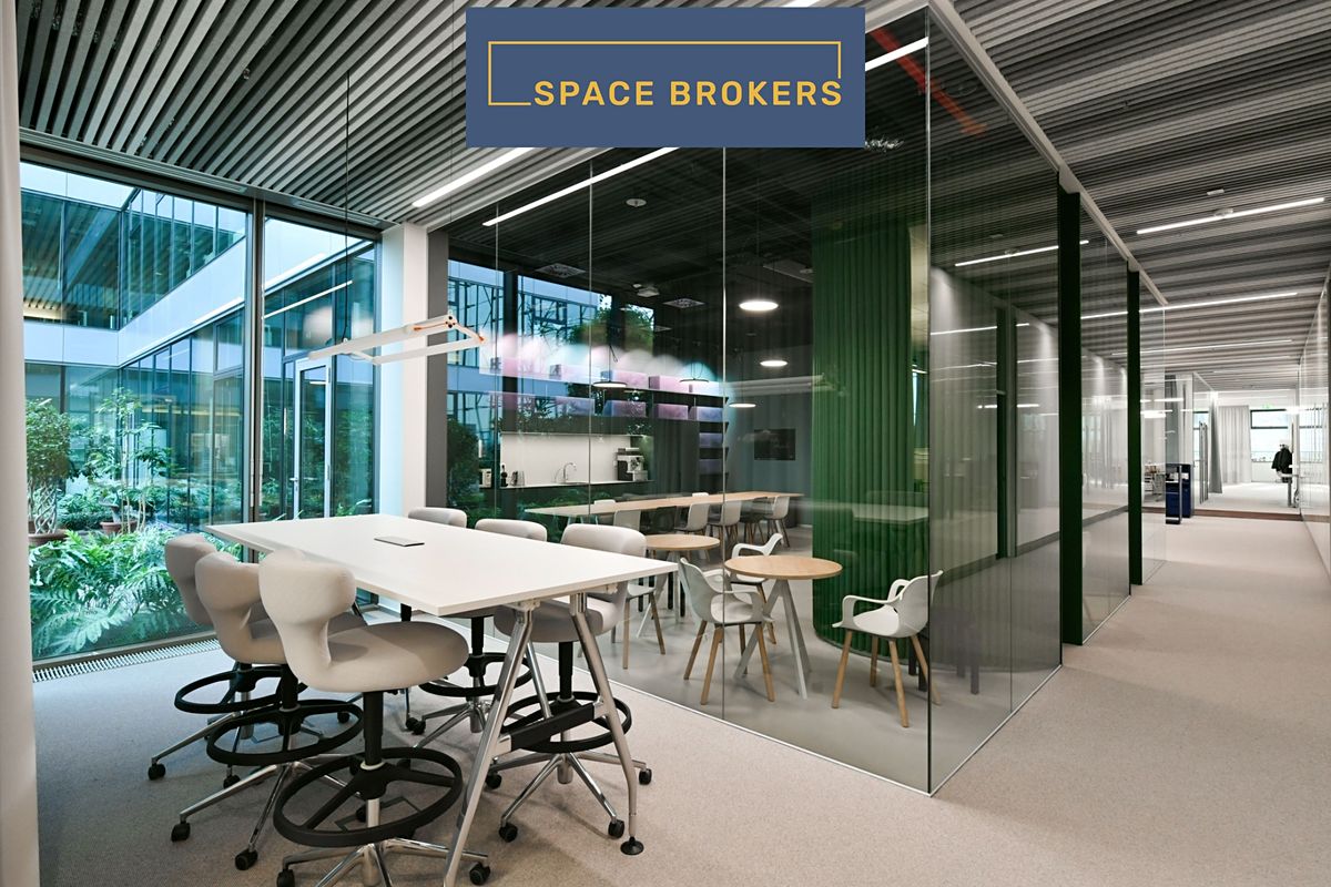 Pronájem kanceláře 3000 m²