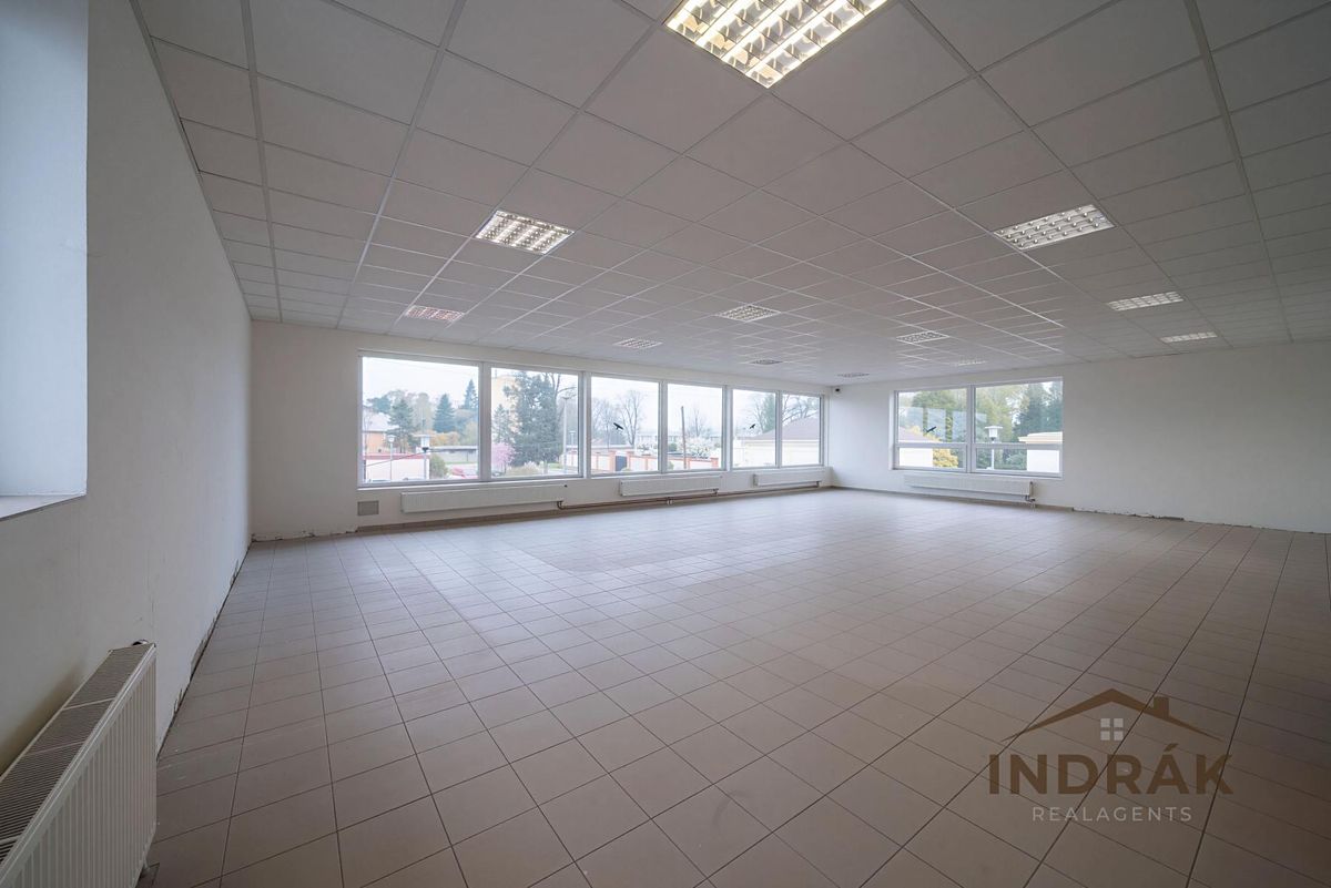 Prodej obchodního prostoru 726 m² – fotografie 3