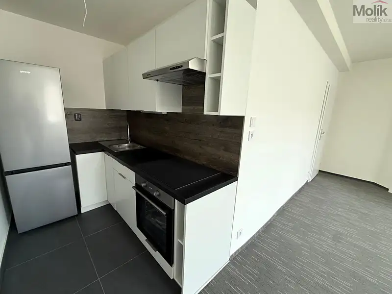 Pronájem bytu 2+kk 50 m², Chomutov – náhled fotky 3