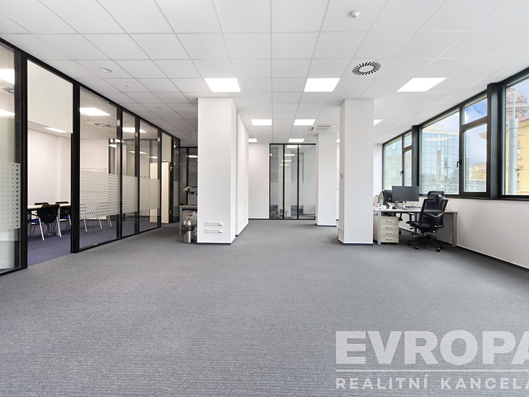 Pronájem komerčního prostoru, 272 m² (3 z 20)