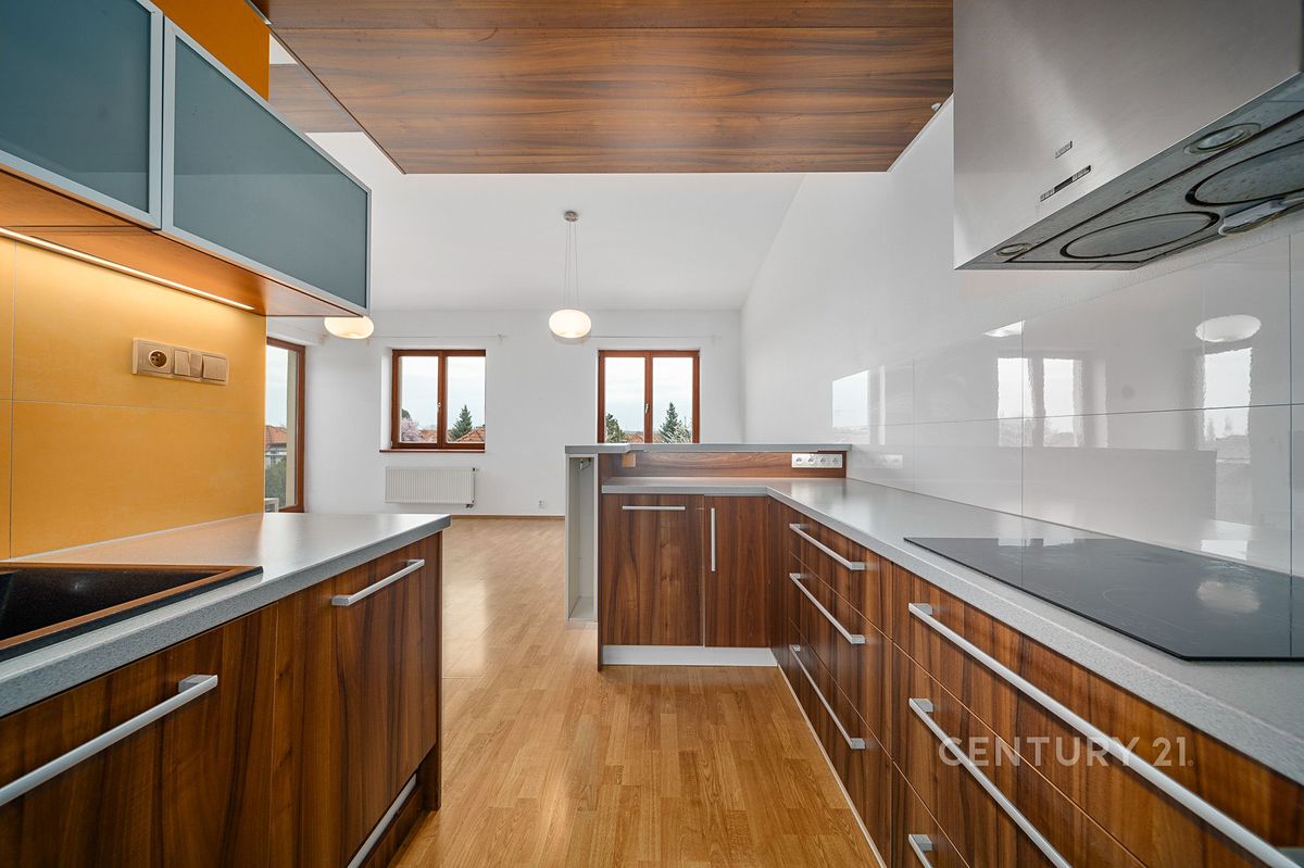 Prodej bytu 4+kk 121 m² – fotografie 3