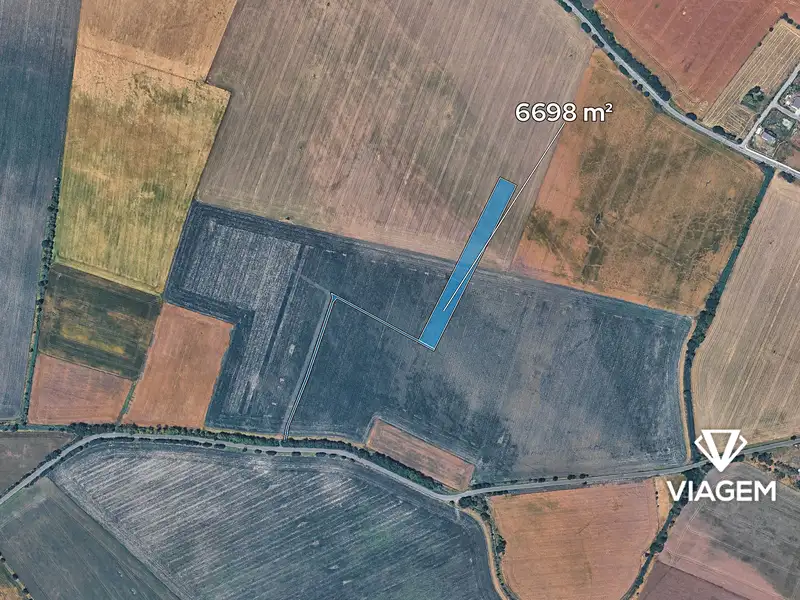 Prodej pole 5925 m², Sudovo Hlavno – náhled fotky 2