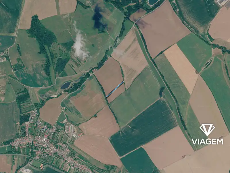 Prodej pole 3500 m², Drslavice – náhled fotky 3