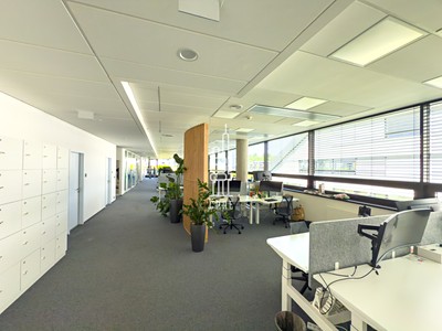 Pronájem komerčního prostoru, 1 979 m² (2 z 6)