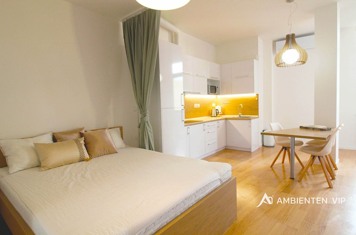 Pronájem bytu 1+kk 54 m²