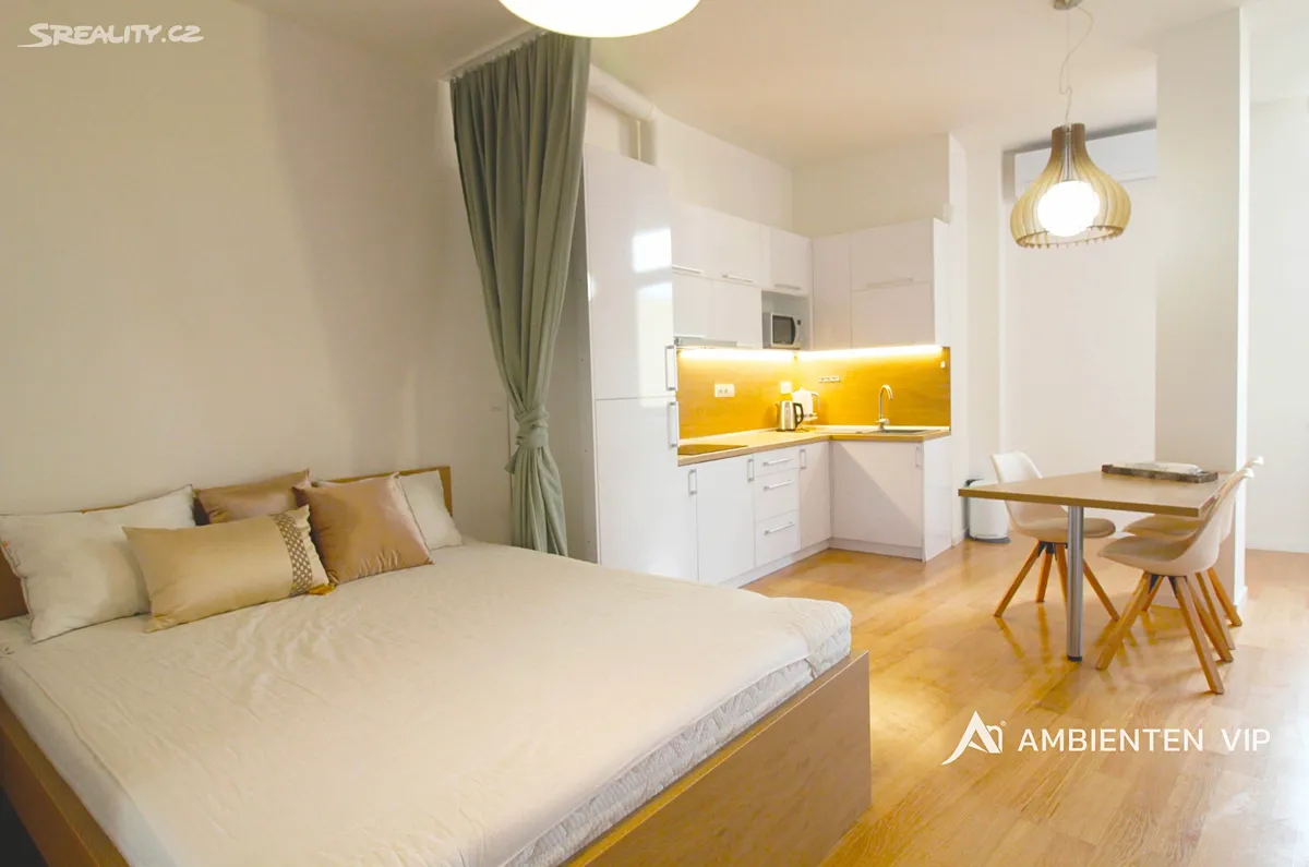 Pronájem bytu 1+kk 54 m², Brno