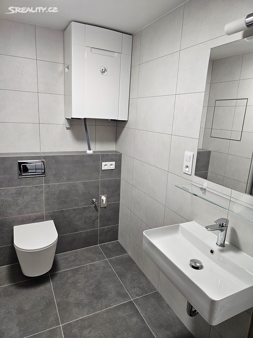 Pronájem bytu 1+kk 32 m² (Jednopodlažní) - Widok 5
