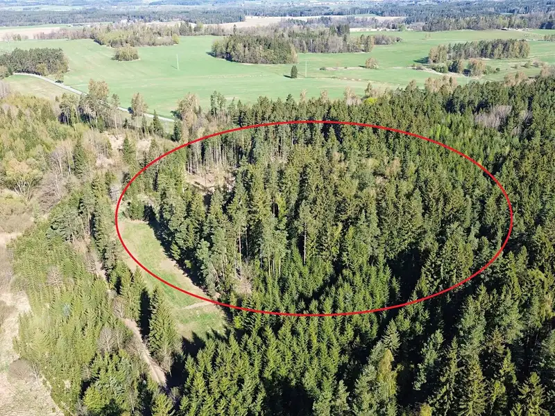 Prodej lesa 32111 m², Bednáreček – náhled fotky 2
