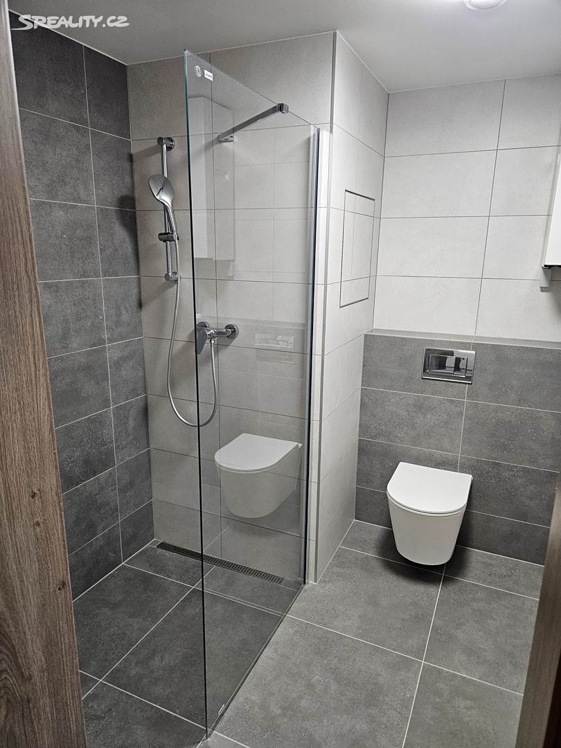 Pronájem bytu 1+kk 32 m² (Jednopodlažní) - Widok 3